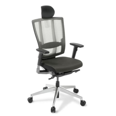 Cloud Ergo Mesh Back Ergonomic Task Chair